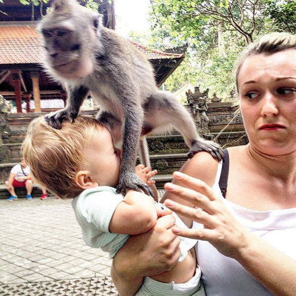 Το πιο ταξιδιάρικο μωρό -Γύρισε όλο τον κόσμο και είναι μόλις ενός έτους [εικόνες]  | iefimerida.gr 3