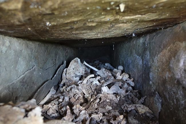 Αρχαίο τάφο με κοσμήματα ανακάλυψαν τυχαία νεαροί στο Ζαγόρι [εικόνες] | iefimerida.gr 1