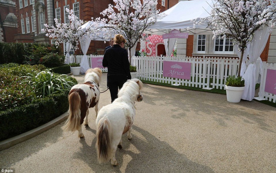 Το πιο εκκεντρικό παιδικό πάρτυ -Στο σπίτι της Tamara Ecclestone [εικόνες] | iefimerida.gr 15