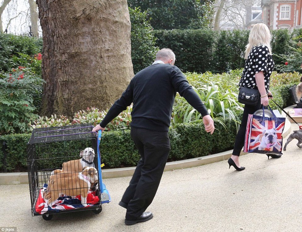 Το πιο εκκεντρικό παιδικό πάρτυ -Στο σπίτι της Tamara Ecclestone [εικόνες] | iefimerida.gr 8