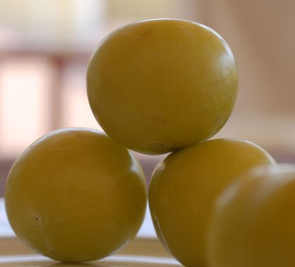 Tάρτα με φρέσκα δαμάσκηνα –Είναι εποχής και απολύτως ηδονικά [εικόνες] | iefimerida.gr 1