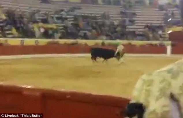 Τραγικός θάνατος ταυρομάχου στην αρένα- Αντιμετώπισε ταύρο 500 κιλών με γυμνά χέρια [βίντεο] | iefimerida.gr 1