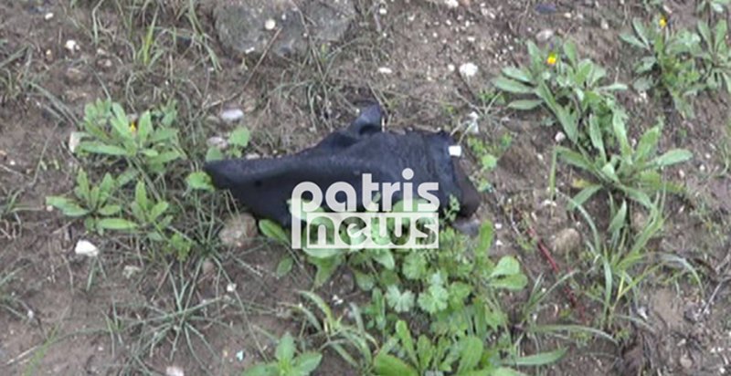 Πύργος: Νεκρή ηλικιωμένη που παρασύρθηκε από ταξί [εικόνες] | iefimerida.gr 0