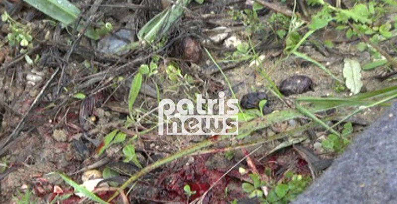 Πύργος: Νεκρή ηλικιωμένη που παρασύρθηκε από ταξί [εικόνες] | iefimerida.gr 3