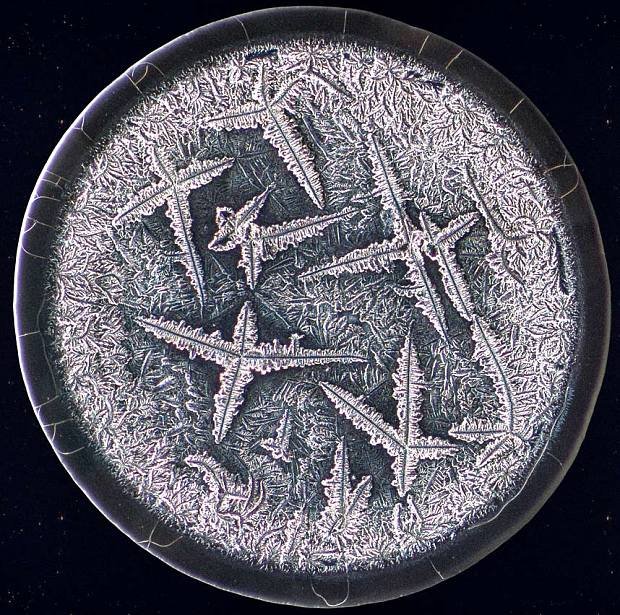 Ετσι μοιάζουν τα δάκρυα στο μικροσκόπιο [εικόνες] | iefimerida.gr 3