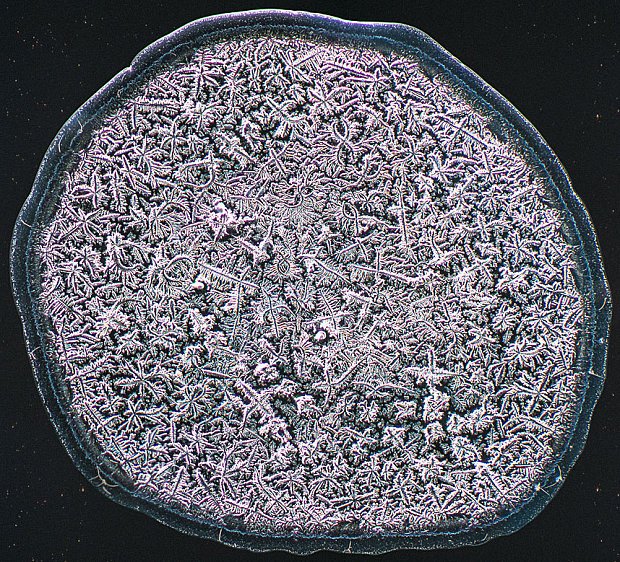 Ετσι μοιάζουν τα δάκρυα στο μικροσκόπιο [εικόνες] | iefimerida.gr 4