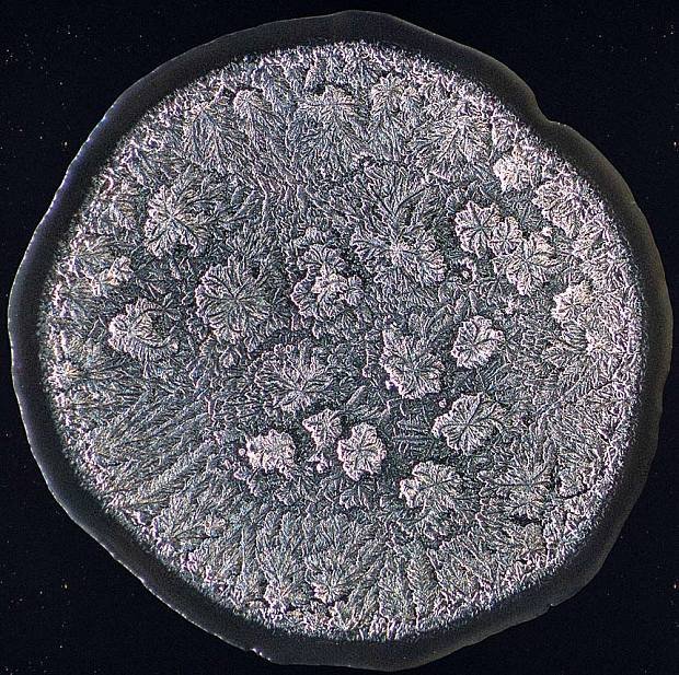 Ετσι μοιάζουν τα δάκρυα στο μικροσκόπιο [εικόνες] | iefimerida.gr 5