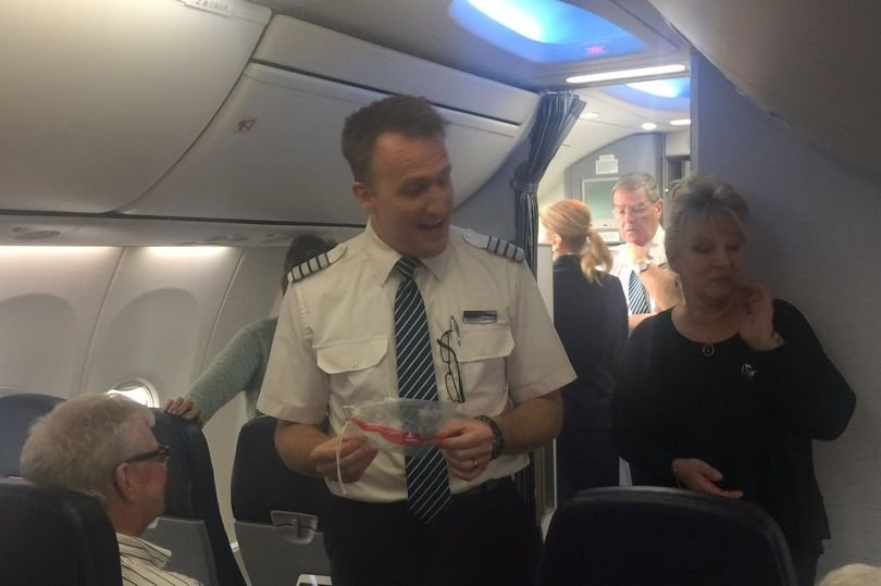 Πιλότος δείχνει στους επιβάτες τον «κομματιασμένο» γλάρο που είχε κολλήσει στον κινητήρα [εικόνες] | iefimerida.gr 0