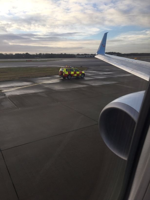 Πιλότος δείχνει στους επιβάτες τον «κομματιασμένο» γλάρο που είχε κολλήσει στον κινητήρα [εικόνες] | iefimerida.gr 1