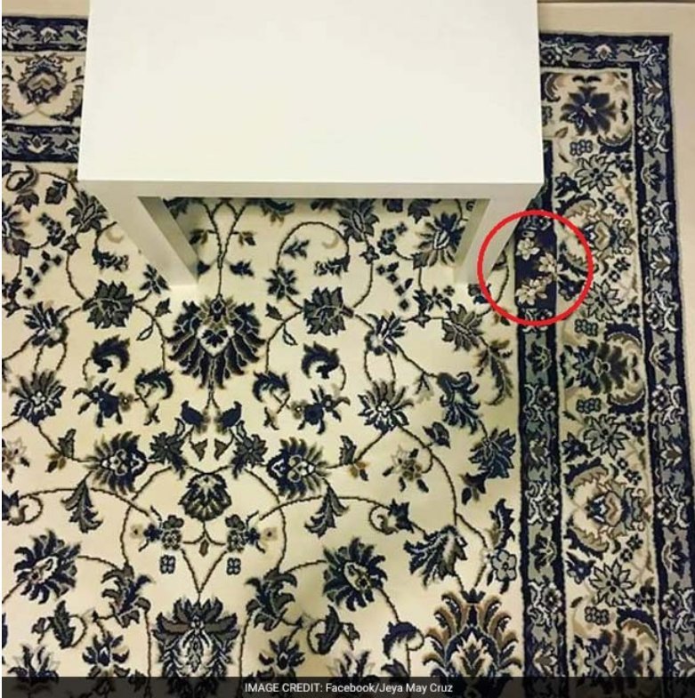 Μπορείτε να βρείτε το κινητό πάνω στο χαλί; -Ο γρίφος που έχει προκαλέσει ίλιγγο στο Διαδίκτυο [εικόνα] | iefimerida.gr 1