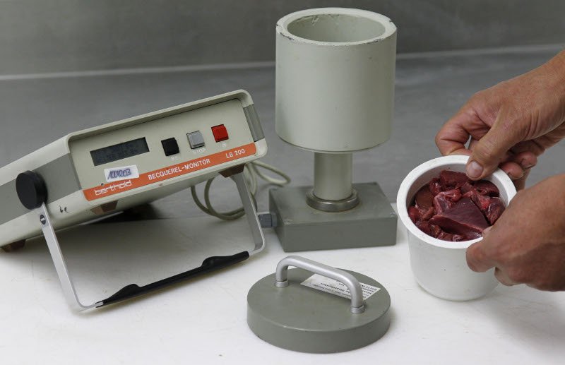 Ραδιενεργά αγριογούρουνα βρέθηκαν σε δάση της Τσεχίας [εικόνες]  | iefimerida.gr 1