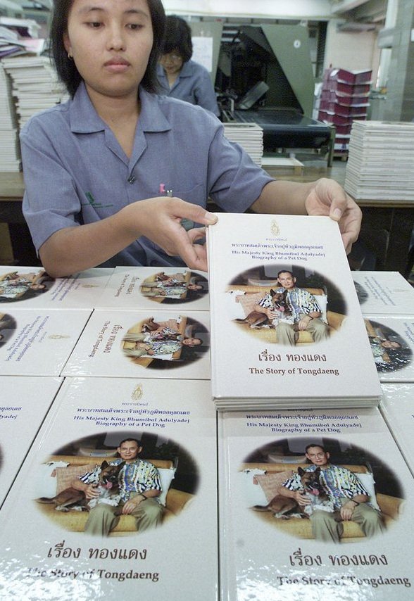 Ταϊλανδός αντιμετωπίζει ποινή 37 ετών για ασέβεια προς τον βασιλικό σκύλο [εικόνες] | iefimerida.gr 1