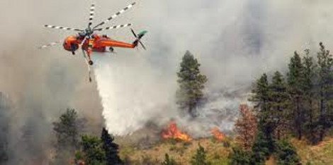 Ανείπωτη καταστροφή στη Θάσο – Στάχτη περισσότερα από 7.000 στρέμματα [εικόνες&βίντεο] | iefimerida.gr 0