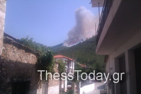 Ανείπωτη καταστροφή στη Θάσο – Στάχτη περισσότερα από 7.000 στρέμματα [εικόνες&βίντεο] | iefimerida.gr 1