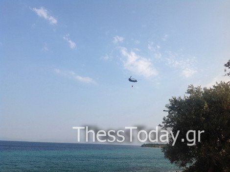 Ανείπωτη καταστροφή στη Θάσο – Στάχτη περισσότερα από 7.000 στρέμματα [εικόνες&βίντεο] | iefimerida.gr 2