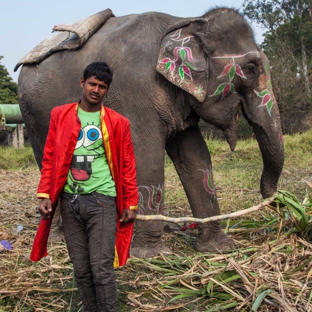 Sahil: Ο τελευταίος οδηγός ελεφάντων που συνεχίζει το επάγγελμα που τον άφησε ορφανό [εικόνες] | iefimerida.gr 2