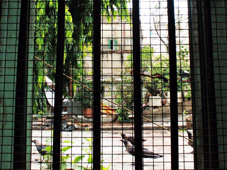 Παράθυρο... στον κόσμο: Οι κάτοικοι 24 πόλεων δείχνουν τη θέα που έχουν κοιτάζοντας έξω [εικόνες] | iefimerida.gr 10