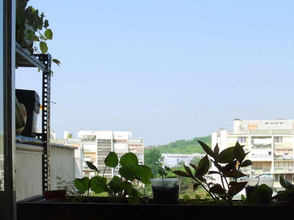 Παράθυρο... στον κόσμο: Οι κάτοικοι 24 πόλεων δείχνουν τη θέα που έχουν κοιτάζοντας έξω [εικόνες] | iefimerida.gr 11