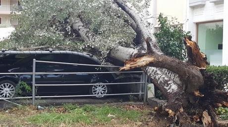 Καταστροφές από την κακοκαιρία στην Πάτρα -Ξεριζώθηκαν δέντρα, καταπλάκωσαν αυτοκίνητα [εικόνες] | iefimerida.gr 2