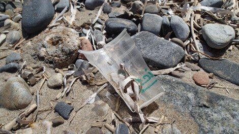 30 φωτογραφίες από τις καλοκαιρινές διακοπές του Σταύρου Θεοδωράκη [εικόνες]  | iefimerida.gr 4