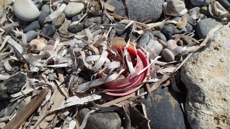 30 φωτογραφίες από τις καλοκαιρινές διακοπές του Σταύρου Θεοδωράκη [εικόνες]  | iefimerida.gr 26