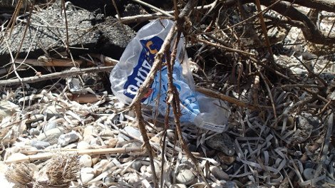 30 φωτογραφίες από τις καλοκαιρινές διακοπές του Σταύρου Θεοδωράκη [εικόνες]  | iefimerida.gr 28