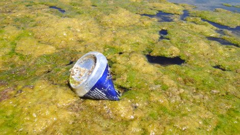 30 φωτογραφίες από τις καλοκαιρινές διακοπές του Σταύρου Θεοδωράκη [εικόνες]  | iefimerida.gr 29