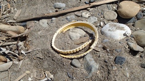 30 φωτογραφίες από τις καλοκαιρινές διακοπές του Σταύρου Θεοδωράκη [εικόνες]  | iefimerida.gr 32