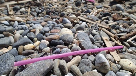 30 φωτογραφίες από τις καλοκαιρινές διακοπές του Σταύρου Θεοδωράκη [εικόνες]  | iefimerida.gr 34