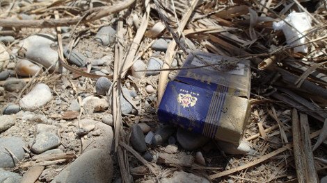 30 φωτογραφίες από τις καλοκαιρινές διακοπές του Σταύρου Θεοδωράκη [εικόνες]  | iefimerida.gr 35