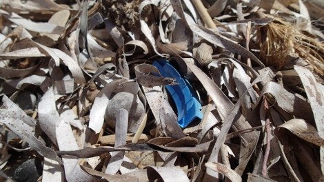 30 φωτογραφίες από τις καλοκαιρινές διακοπές του Σταύρου Θεοδωράκη [εικόνες]  | iefimerida.gr 18