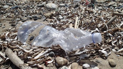 30 φωτογραφίες από τις καλοκαιρινές διακοπές του Σταύρου Θεοδωράκη [εικόνες]  | iefimerida.gr 12