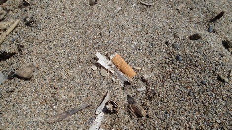 30 φωτογραφίες από τις καλοκαιρινές διακοπές του Σταύρου Θεοδωράκη [εικόνες]  | iefimerida.gr 13