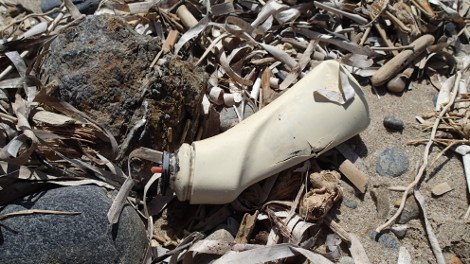 30 φωτογραφίες από τις καλοκαιρινές διακοπές του Σταύρου Θεοδωράκη [εικόνες]  | iefimerida.gr 14