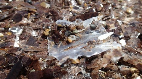 30 φωτογραφίες από τις καλοκαιρινές διακοπές του Σταύρου Θεοδωράκη [εικόνες]  | iefimerida.gr 15