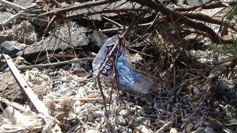 30 φωτογραφίες από τις καλοκαιρινές διακοπές του Σταύρου Θεοδωράκη [εικόνες]  | iefimerida.gr 16