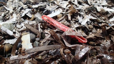 30 φωτογραφίες από τις καλοκαιρινές διακοπές του Σταύρου Θεοδωράκη [εικόνες]  | iefimerida.gr 17