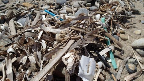 30 φωτογραφίες από τις καλοκαιρινές διακοπές του Σταύρου Θεοδωράκη [εικόνες]  | iefimerida.gr 5