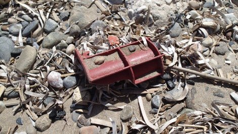 30 φωτογραφίες από τις καλοκαιρινές διακοπές του Σταύρου Θεοδωράκη [εικόνες]  | iefimerida.gr 6