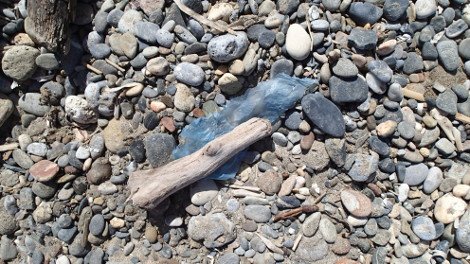 30 φωτογραφίες από τις καλοκαιρινές διακοπές του Σταύρου Θεοδωράκη [εικόνες]  | iefimerida.gr 21