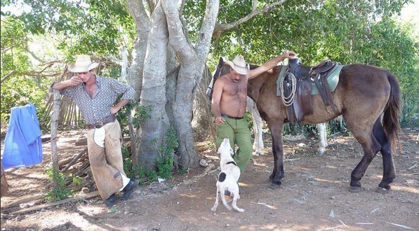 Ο Θεοδωράκης «εκδικείται» όσους αναρτούν φωτογραφίες από παραλίες -«Πήγε» στην Κούβα [εικόνες] | iefimerida.gr 2
