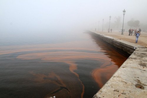Η ερυθρά παλίρροια έβαψε «κόκκινο» τον Θερμαϊκό -Δείτε εικόνες | iefimerida.gr 4