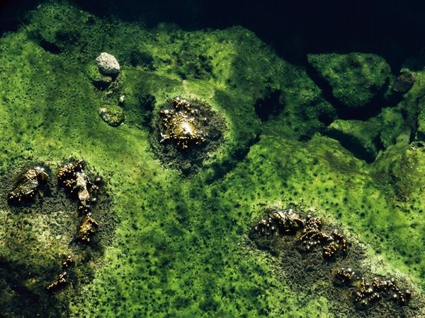 Ο κόσμος όπως δεν τον έχετε ξαναδεί - Η καθημερινότητα από άλλη οπτική γωνία [εικόνες] | iefimerida.gr 6