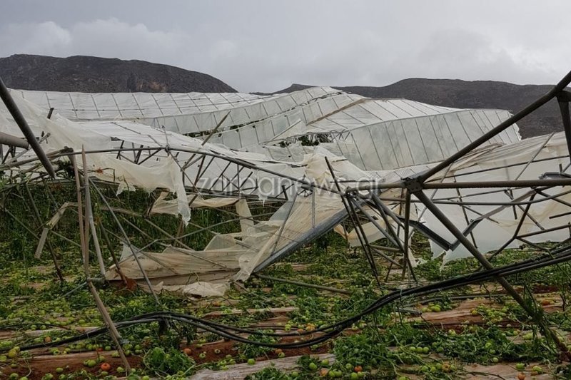 Τα κατεστραμμένα θερμοκήπια / Φωτογραφία: zarpanews.gr