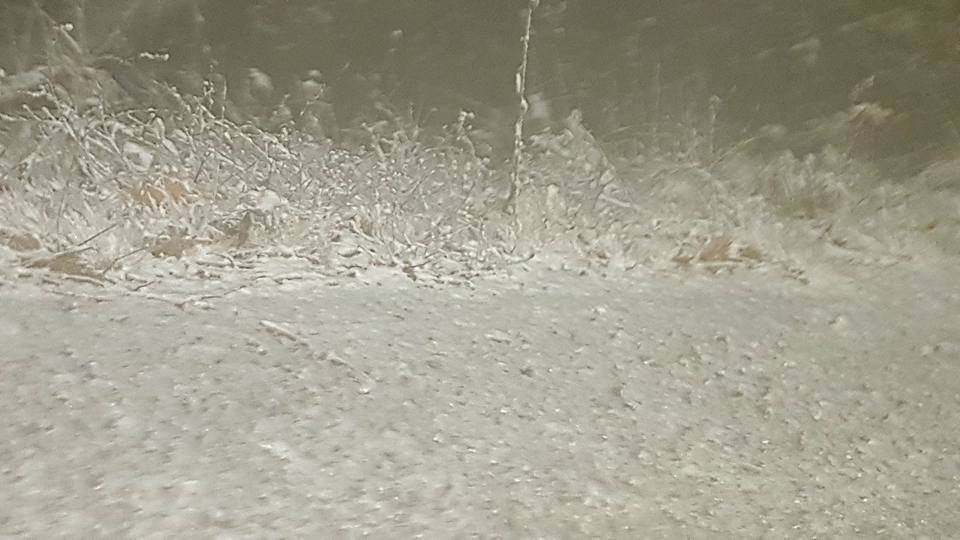 Στα λευκά το Πήλιο -Το έστρωσε στα Χάνια [εικόνες & βίντεο] | iefimerida.gr 5