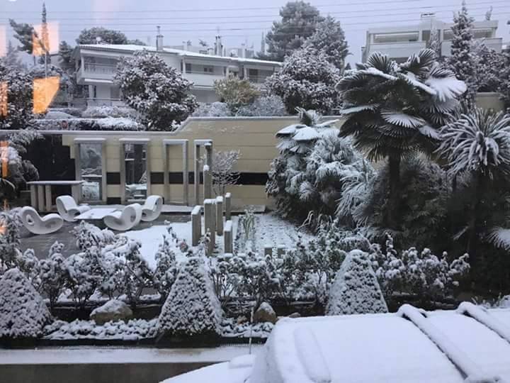 Χιονόπτωση στη Θεσσαλονίκη -Πού δημιουργήθηκαν προβλήματα [εικόνες] | iefimerida.gr 3