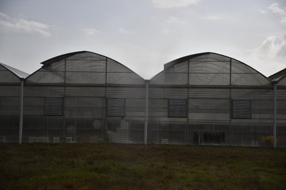 Ο Τσίπρας στα Πλαστικά Θράκης και τα θερμοκήπια της περιοχής [εικόνες]  | iefimerida.gr 3