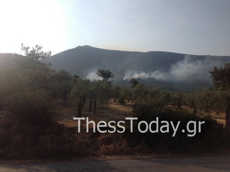 Ανείπωτη καταστροφή στη Θάσο – Στάχτη περισσότερα από 7.000 στρέμματα [εικόνες&βίντεο] | iefimerida.gr 3