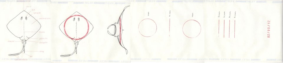 Στην Υδρα στήνουν έκθεση με αχρησιμοποίητα ρολά φαξ -Το κάθε ένα μήκους 50 μ. [εικόνες] | iefimerida.gr 3