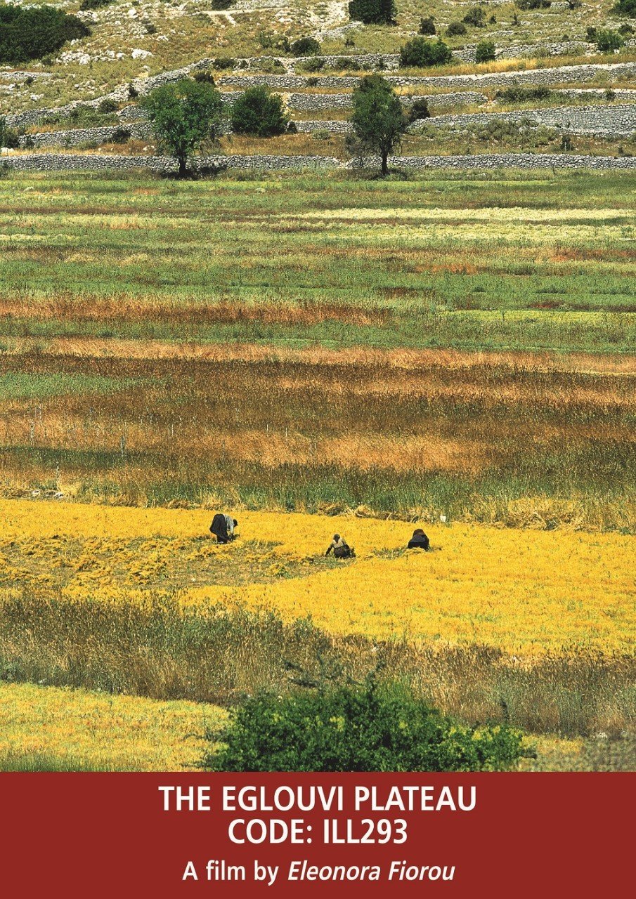 ΠΙΟΠ: Η περίφημη φακή Εγκλουβής -Την σπέρνουν γυναίκες με τοπικές φορεσιές, με τα χέρια [εικόνες]  | iefimerida.gr 3